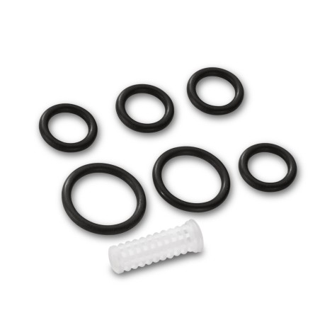 Juego de Juntas Kärcher 2.645-074.0 con Filtro | Comprar